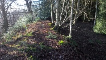Click for full size image of Berth Hill (PID:248576) Berth Hill