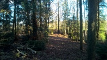 Click for full size image of Berth Hill (PID:248577) Berth Hill
