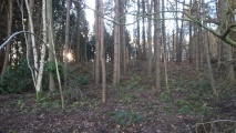 Click for full size image of Berth Hill (PID:248579) Berth Hill