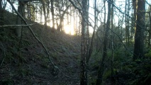Click for full size image of Berth Hill (PID:248586) Berth Hill