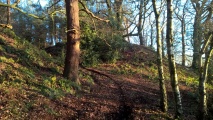 Click for full size image of Berth Hill (PID:248593) Berth Hill