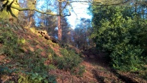 Click for full size image of Berth Hill (PID:248594) Berth Hill