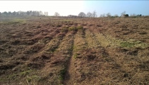 Castle Ring (Staffordshire)