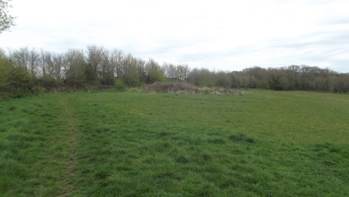 Stoke Park Long Barrow