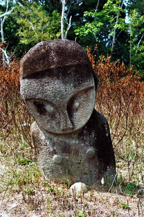 This megalithic statue in Tinoe, near Bakekau in the Bada Valley is considerably smaller compared to some of the others.  It stands at approximately 130cm above the ground, facing west.