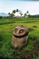 Bada Valley Megaliths