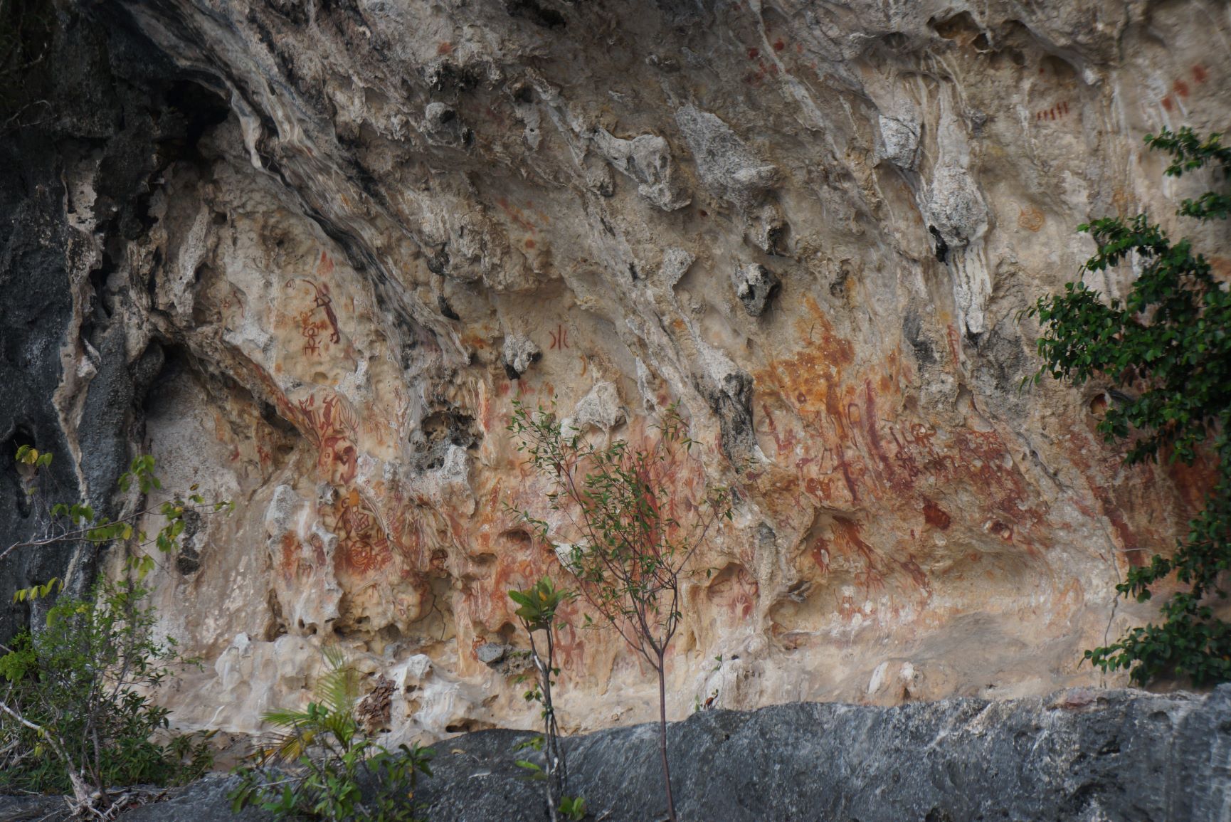 Click for full size image of Bitsyari Bay, West Papua (PID:188585) Bitsyari Bay, West Papua