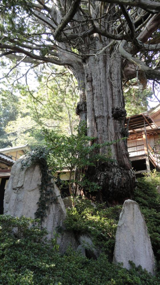 Chōkoku-ji temple