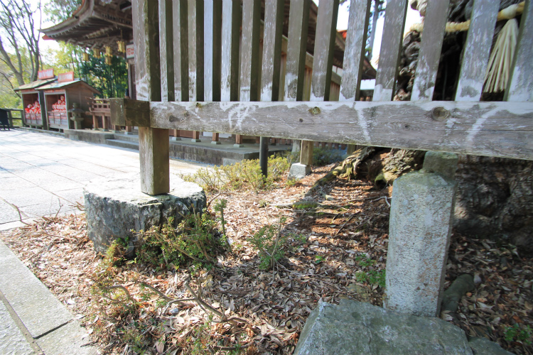 Click for full size image of Hatten Ishigura (PID:118322) Hatten Ishigura