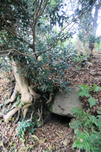 Kawakami Jinja Kofun