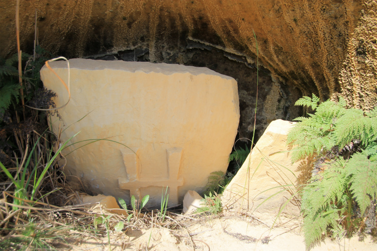 Click for full size image of Kitakohara Yokoana (PID:114003) Kitakohara Yokoana