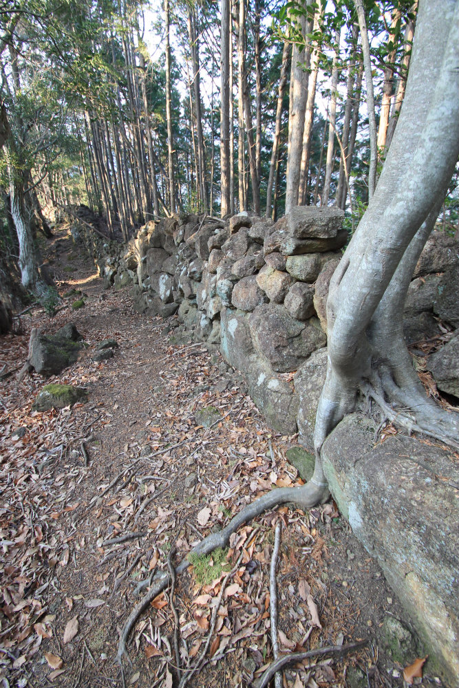 Kumano-no Shishigaki