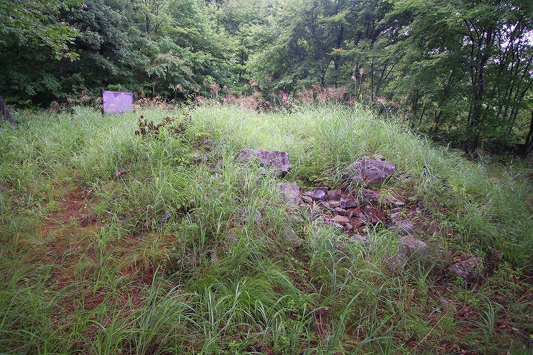 Shingō Kofungun (PID:42250) Shingō Kofungun