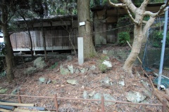 Click for full size image of Hatten Ishigura (PID:118315) Hatten Ishigura