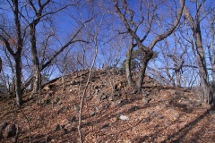 Otengusan Kofun - PID:44875