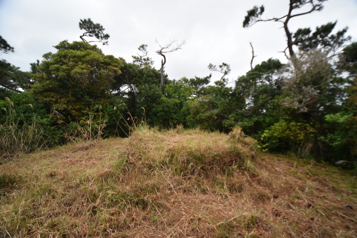 Site in Kyūshū Japan
A stage for rainfall prayer (26.92718N,127.93980E)