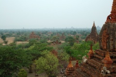 Bagan temple area - PID:89492