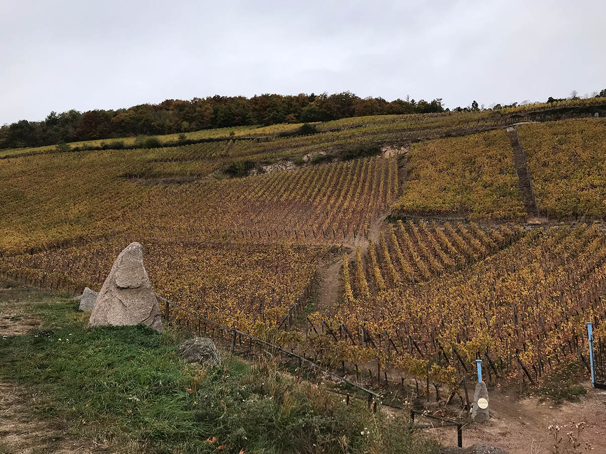 Click for full size image of Dambach-la-Ville Menhir (PID:189458) Dambach-la-Ville Menhir