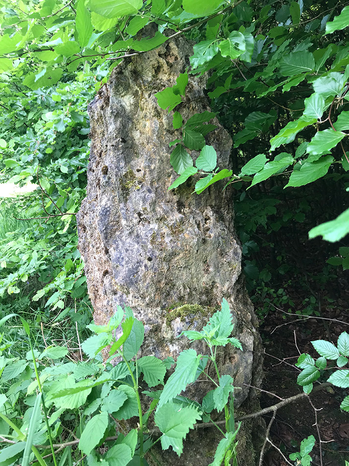 La Pierre-au-Jô Menhir