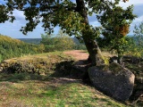 Click for full size image of La Roche des Fées St. Quirin (PID:204707) La Roche des Fées St. Quirin