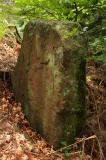Hagelbusch - PID:91377