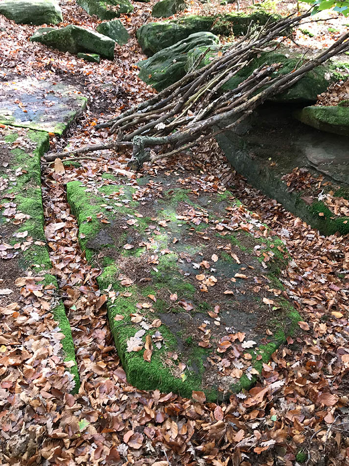 Click for full size image of Hexenplaetzel (PID:173338) Hexenplaetzel