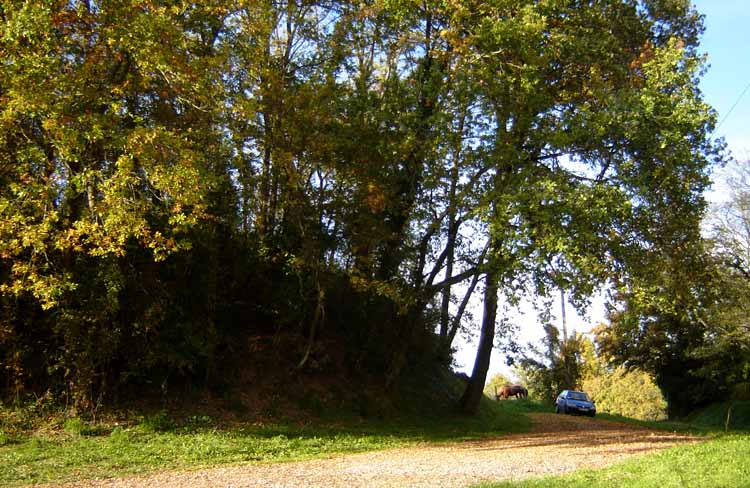 Click for full size image of Péhau Tumulus (PID:26509) Péhau Tumulus