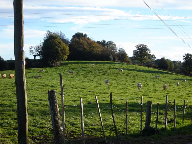 Perez Tumulus (PID:26512) Perez Tumulus
