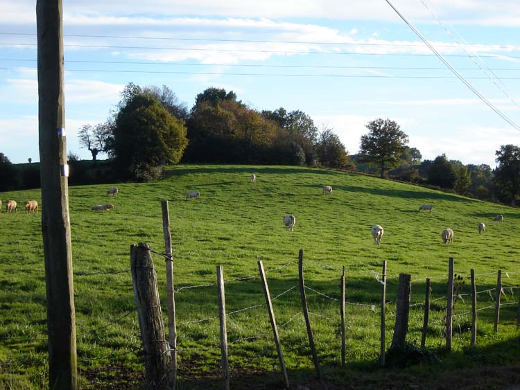 Perez Tumulus