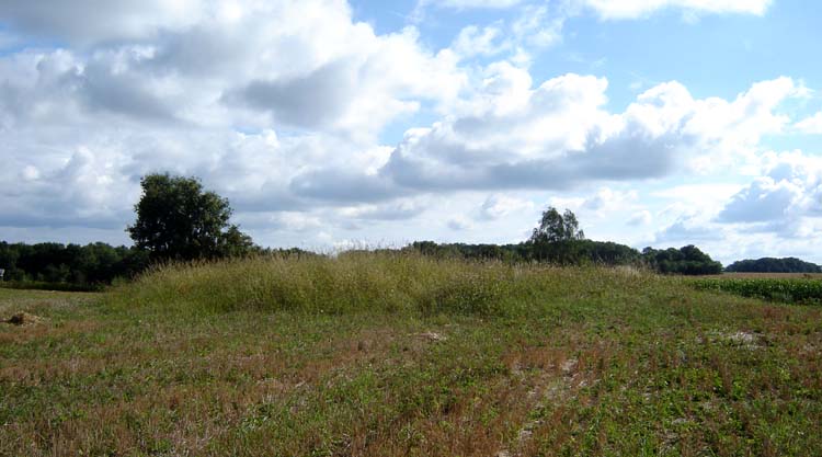 Click for full size image of Baucouyé Tumuli (PID:23264) Baucouyé Tumuli