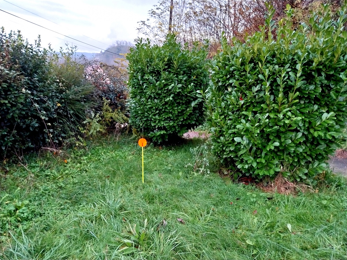 Click for full size image of Peyrefiche de Vitrac (PID:282638) Peyrefiche de Vitrac