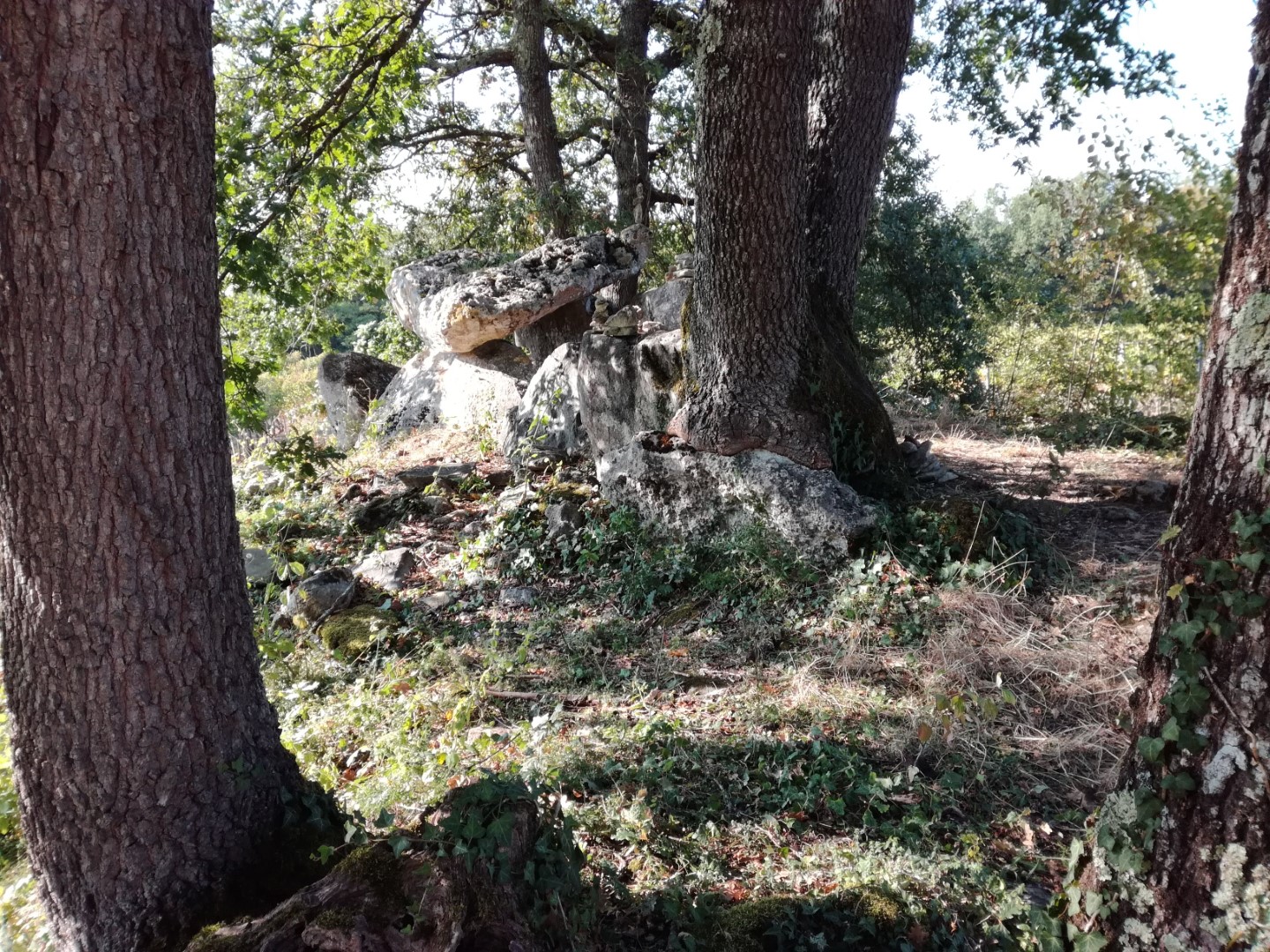 Click for full size image of Curton Dolmen (PID:186348) Curton Dolmen