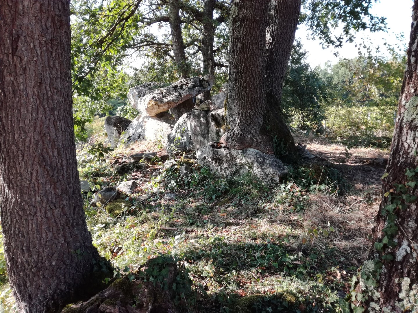 Curton Dolmen