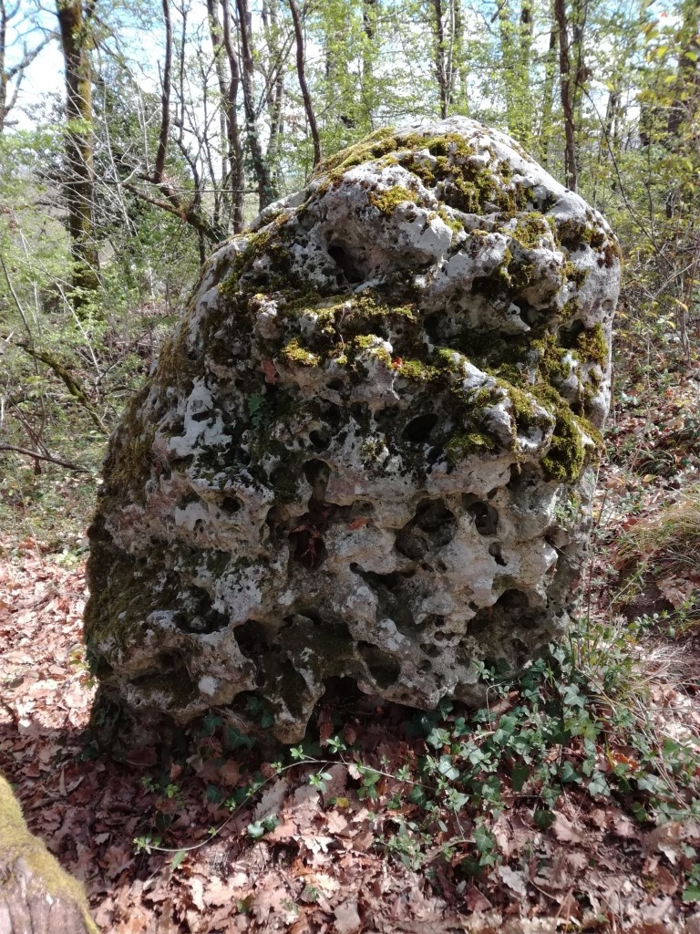 Click for full size image of Menhir des Goulards (PID:195920) Menhir des Goulards