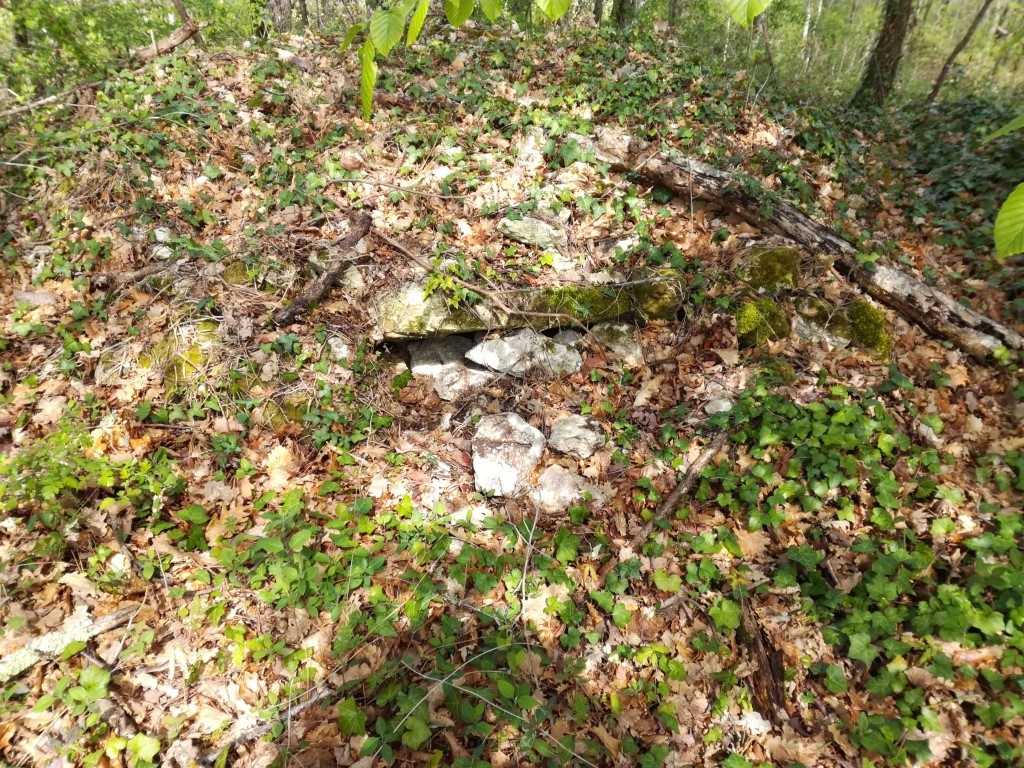 Click for full size image of Menhir des Goulards (PID:195922) Menhir des Goulards
