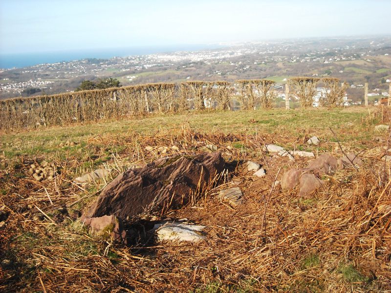 Lezante Nord Dolmen (PID:55621) Lezante Nord Dolmen