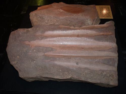 Click for full size image of Musée de Périgord (PID:87723) Musée de Périgord