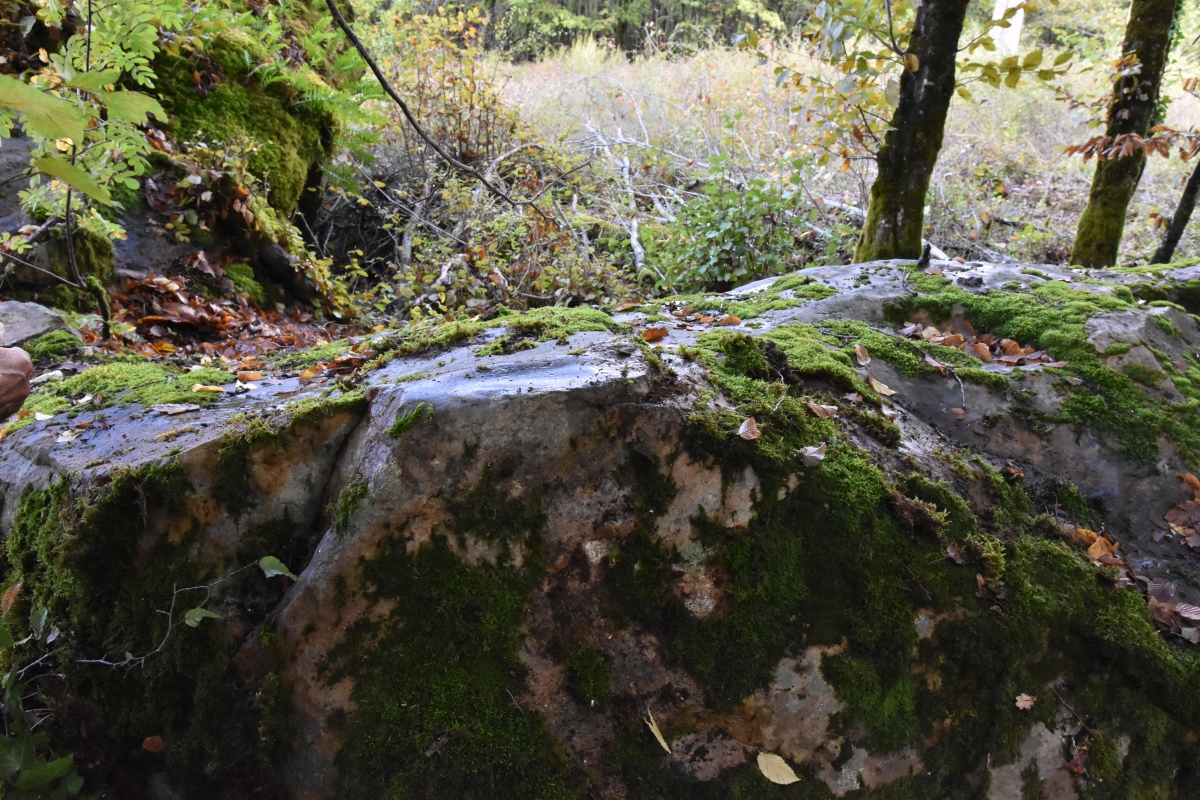 Polissoirs de Condat sur Vézère