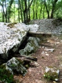 Puy de Bon Temps dolmen