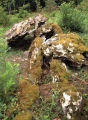 Maison du Loup dolmen 1