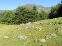 Col Long de Magnabaigt cromlechs - PID:92084