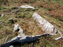 Plateau Vert dolmen - PID:70293
