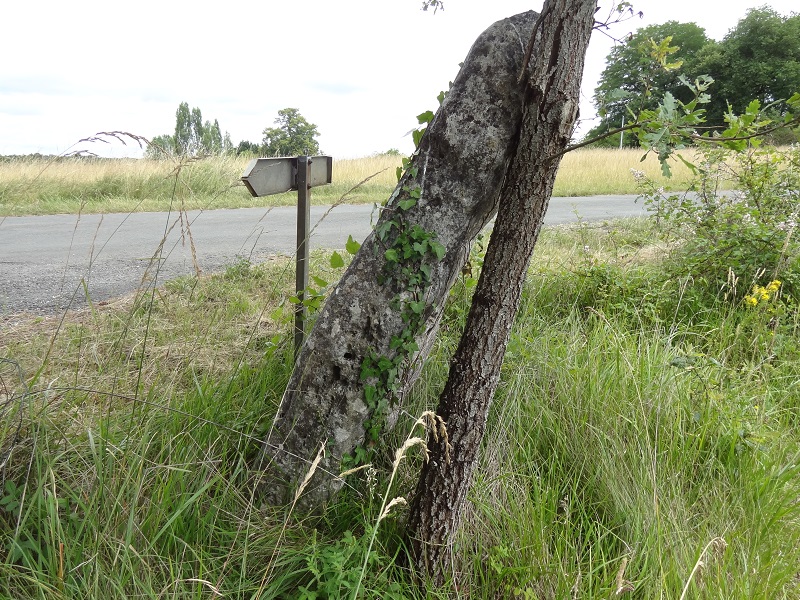 La Monerie menhir