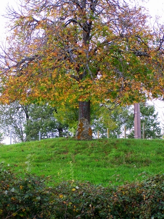 Click for full size image of Menhir de Madunhac (PID:113995) Menhir de Madunhac