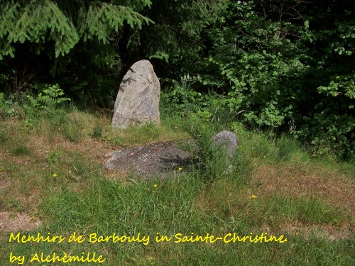 Menhirs of Barbouly
