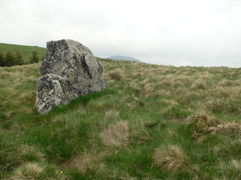 Click for full size image of Menhir de Vassivières Sud (PID:188196) Menhir de Vassivières Sud