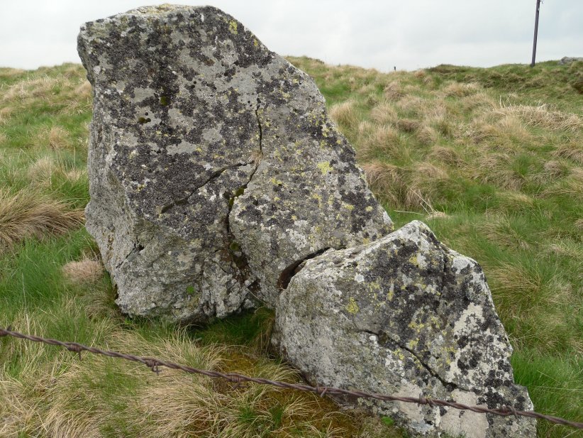 Menhir de Vassivières Sud (PID:188195) Menhir de Vassivières Sud