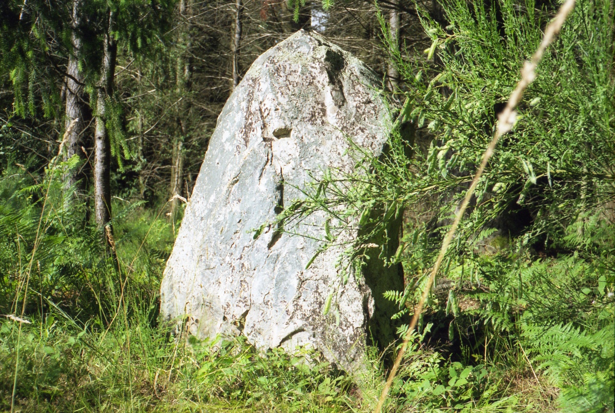 Menhirs of Barbouly