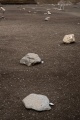 Click for full size image of Veyre-Monton buried standing stones (PID:201817) Veyre-Monton buried standing stones