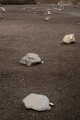 Veyre-Monton buried standing stones